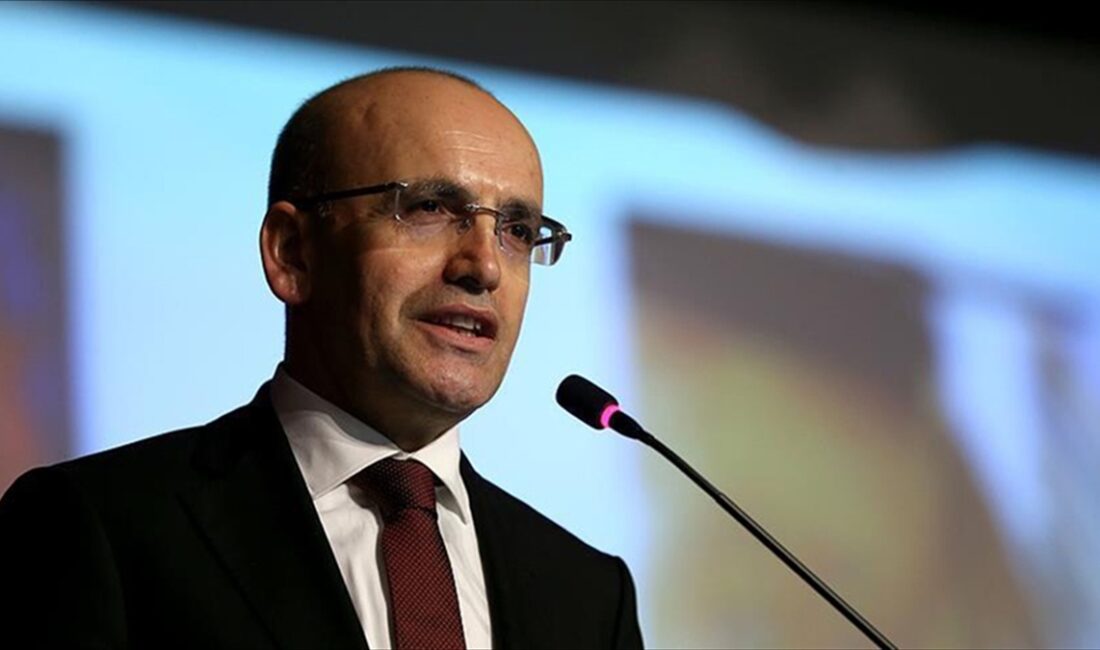 Hazine ve Maliye Bakanı Mehmet Şimşek, 79. BM Genel Kurulu