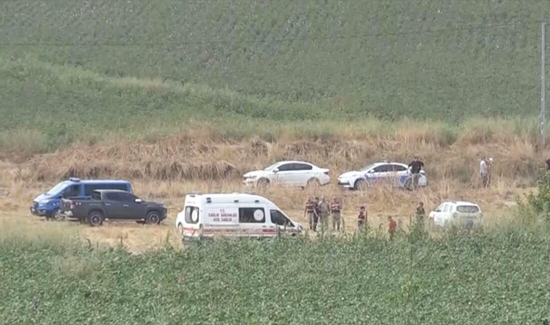 İçişleri Bakanı Yerlikaya, "Diyarbakır'ın Bağlar ilçesine bağlı Tavşantepe Mahallesi'nde kaybolan