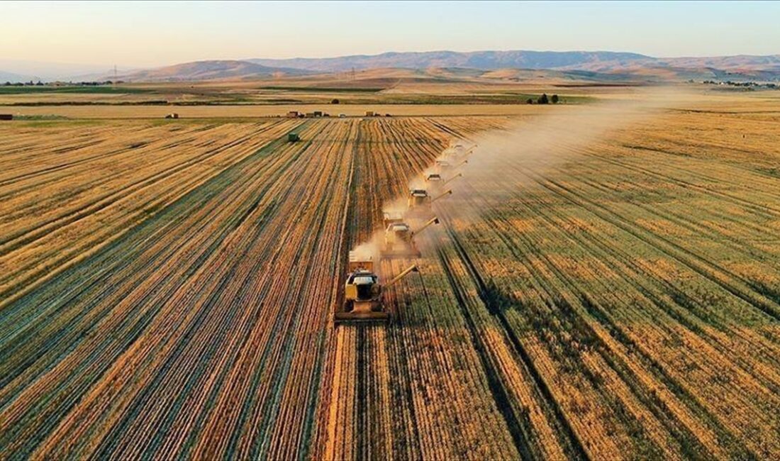 Tarım ve Orman Bakanı İbrahim Yumaklı, "1 milyar 389 milyon