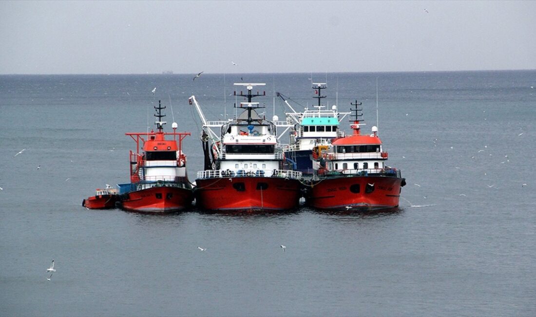 Hamsi avcılığına getirilen kota kapsamında, gemi sahibi veya yetkilisi tarafından