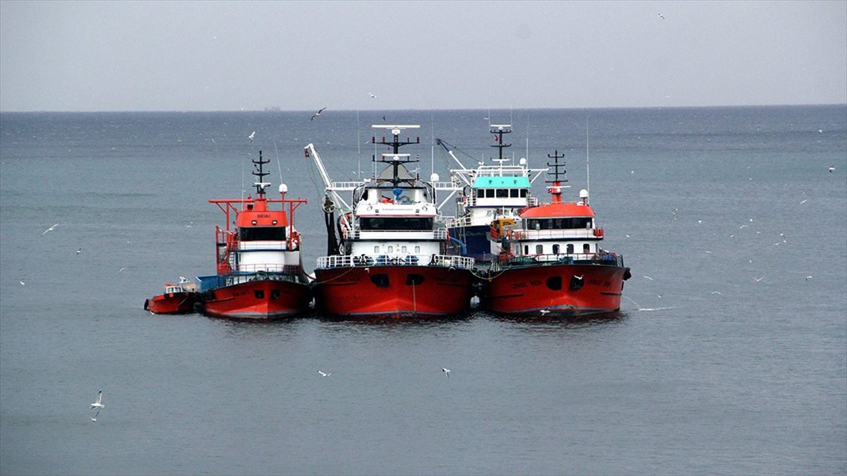 Hamsi avcılığına getirilen kota kapsamında, gemi sahibi veya yetkilisi tarafından