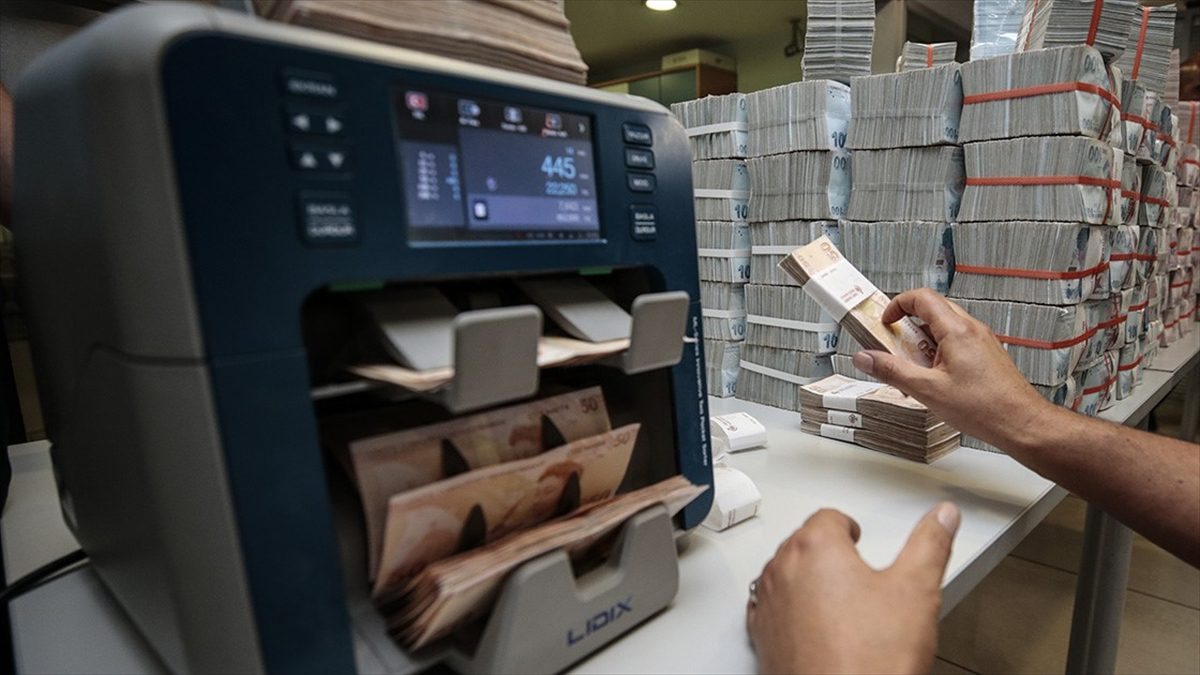 Sektörün toplam aktif büyüklüğü ağustos itibarıyla 29,7 trilyon lira, sermaye