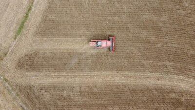 Bilecik'te 60 bin dekar olan yağlık ayçiçeği ekim alanı, Tarım