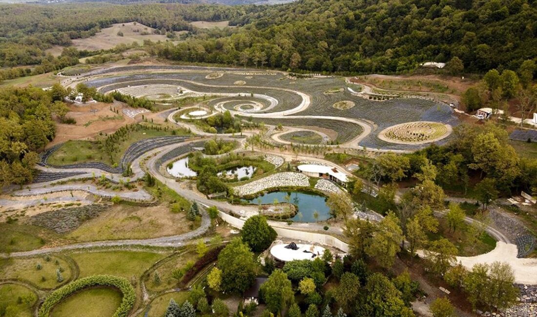 Bosna Hersek'in Visoko kenti yakınlarında bir park, Vincent van Gogh'un