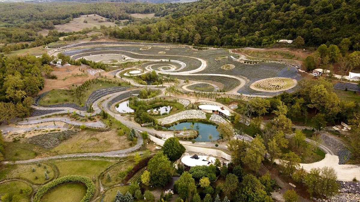 Bosna Hersek'in Visoko kenti yakınlarında bir park, Vincent van Gogh'un