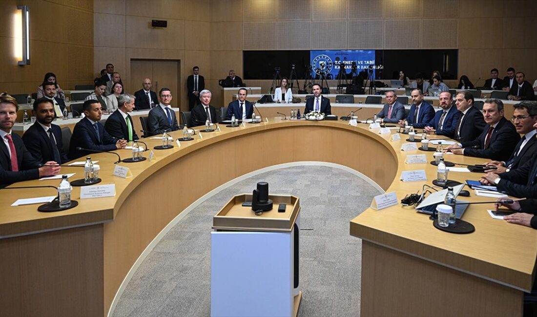 Boru Hatları ile Petrol Taşıma AŞ'nin (BOTAŞ) Shell ile yıllık