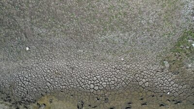 Bursa'nın Mudanya ilçesinde, Avrupa Birliğinden (AB) coğrafi işaret onayı alınan