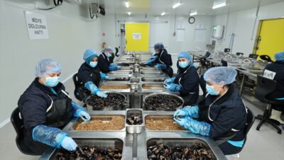 BALIKESİR (AA) – CarrefourSA’dan deniz ürünleri cirolarını 19 bin tona