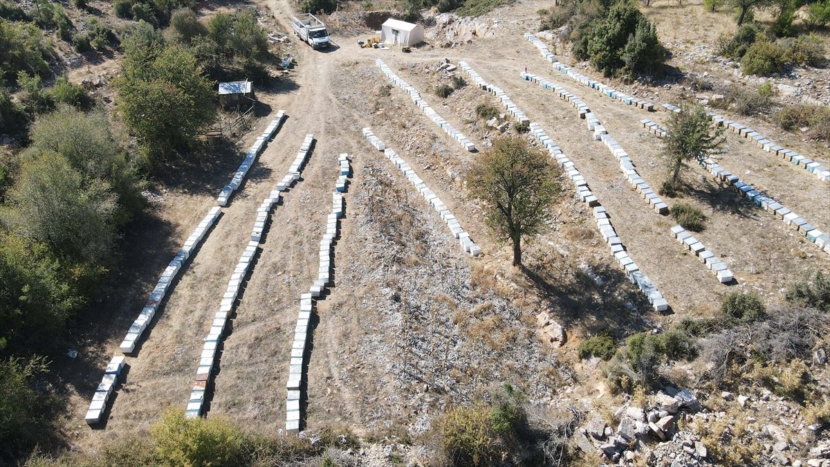 MUĞLA (AA) – İlkbaharda beklenen yağışların olmaması ve kurak geçmesi
