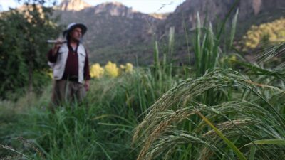 Tarım ve Orman Bakanlığı, 406 milyon 577 bin liralık destekleme