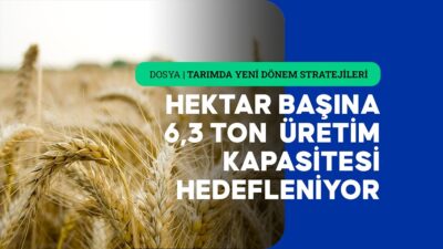 Küresel nüfusun yaklaşık yüzde 20'sini besleyen Çin, gıdada kendi kendine