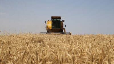 Cumhurbaşkanlığı Dijital Dönüşüm Ofisi, 2025 üretim yılı için Çiftçi Kayıt