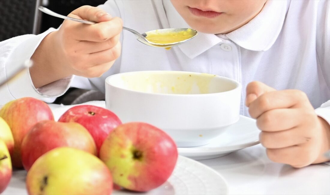Araştırmacılar, çocuklarda yemek seçiciliğinin büyük oranda genetik nedenlere bağlı olduğunu