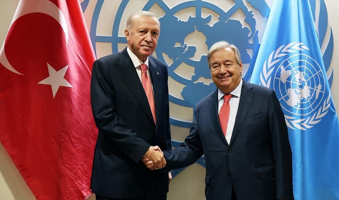 Cumhurbaşkanı Recep Tayyip Erdoğan, Birleşmiş Milletler (BM) Genel Sekreteri Antonio