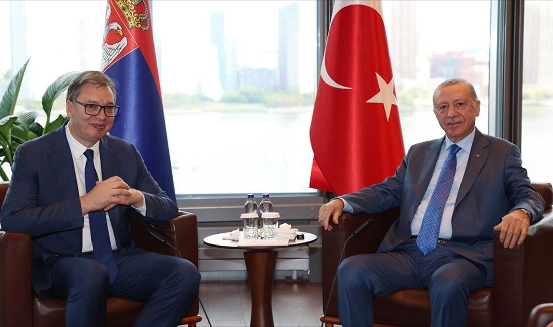 Cumhurbaşkanı Recep Tayyip Erdoğan, Sırbistan Cumhurbaşkanı Aleksandar Vucic ile bir