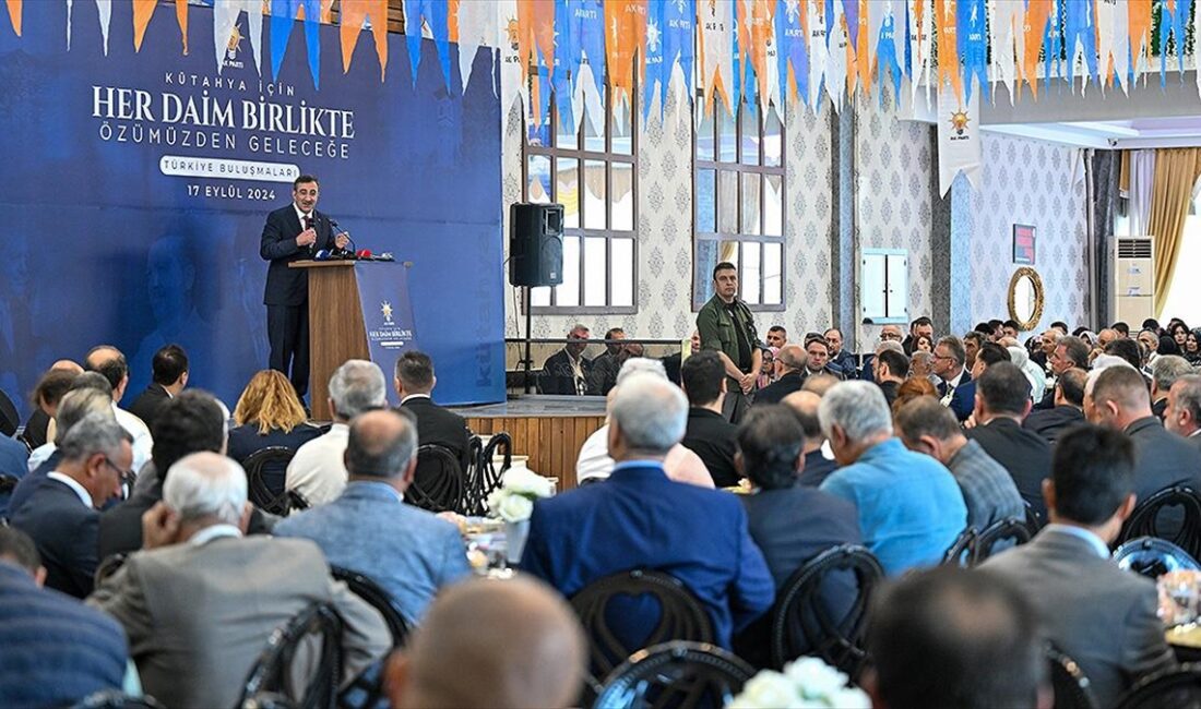 Cumhurbaşkanı Yardımcısı Cevdet Yılmaz, "AK Parti istikrar içinde değişen bir
