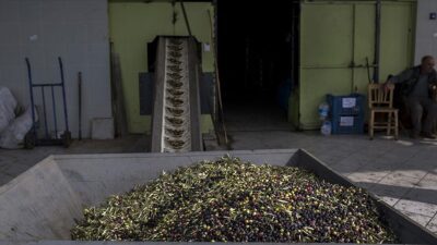 Zeytinyağında ihracatçıların rekabetçi sezon şartlarına uyum sağlayabilmeleri için dökme ve