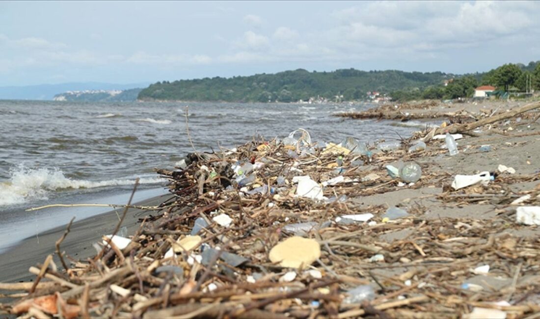 Dünya Bankası, Karadeniz'in Mavileştirilmesi (BBSEA) GEF Bölgesel Projesi için kullanılacak