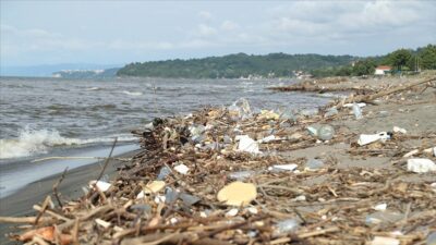 Dünya Bankası, Karadeniz'in Mavileştirilmesi (BBSEA) GEF Bölgesel Projesi için kullanılacak