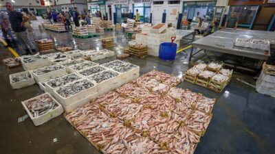 "Vira bismillah" diyerek 1 Eylül'de denize açılan Egeli balıkçılar, ağların