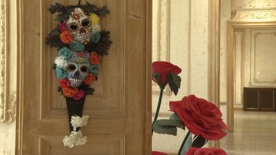 Meksikalı ressam Frida Kahlo'nun kişisel günlüklerinden esinlenerek hazırlanan fiziksel ve