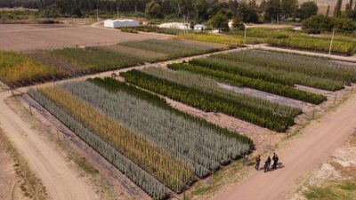 Eskişehir Orman Bölge Müdürlüğüne bağlı Eskişehir Orman Fidanlığı bünyesinde özel