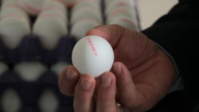 Tarım ve Orman Bakanlığı Gıda ve Kontrol Genel Müdürlüğünce, '2',