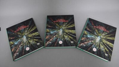 Cumhurbaşkanlığı İletişim Başkanlığınca, New York'ta gerçekleştirilen Birleşmiş Milletler (BM) 79'uncu