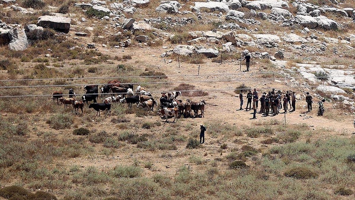 İsrail'in, işgal altındaki Batı Şeria'da Filistinlilere ait yüzlerce dönüm alana