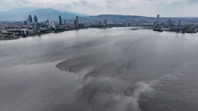 Kötü koku ve balık ölümlerinin yaşandığı İzmir Körfezi'nde tarama gemisiyle