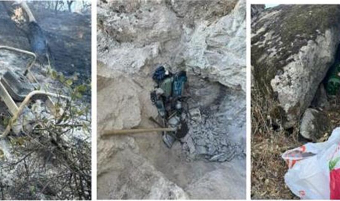 İzmir'in Karşıyaka ilçesinde Yamanlar Dağı'ndaki ormanlık alanda çıkan ve 2