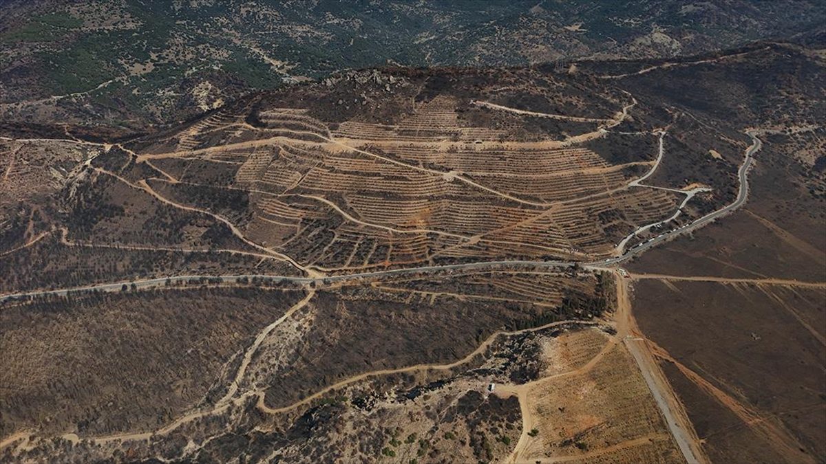 İzmir'in Karşıyaka ilçesinde 15 Ağustos'ta çıkan orman yangınında zarar gören