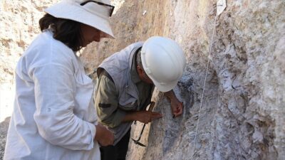 Kahramanmaraş merkezli 6 Şubat 2023'teki depremlerin Malatya fayı üzerindeki etkileri