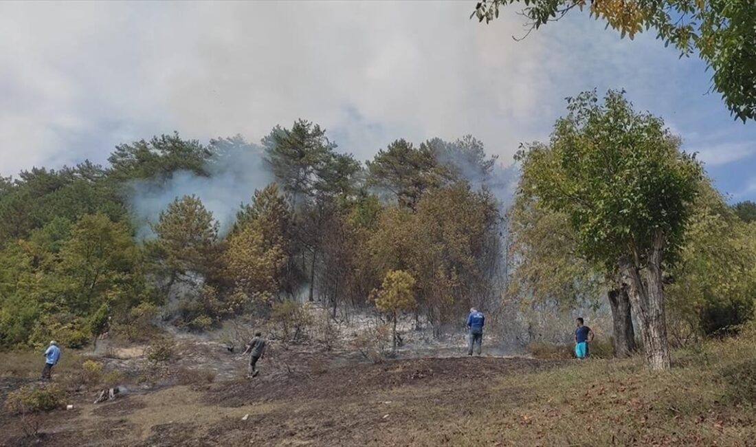 Karabük'te 15 dönüm ormanlık alanda etkili olan yangın, ekiplerce söndürüldü.