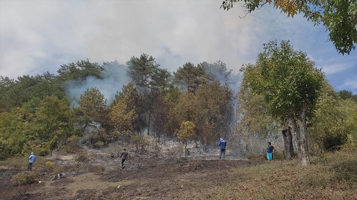 Karabük'te 15 dönüm ormanlık alanda etkili olan yangın, ekiplerce söndürüldü.