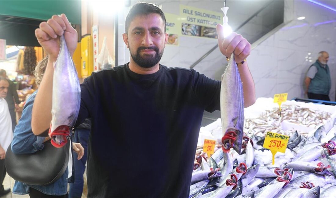 SAMSUN (AA) – Karadeniz’de av sezonunun başlamasıyla bol miktarda avlanan