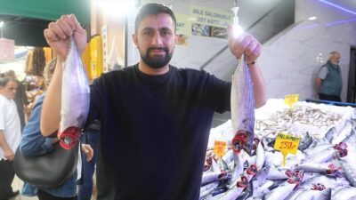 SAMSUN (AA) – Karadeniz’de av sezonunun başlamasıyla bol miktarda avlanan