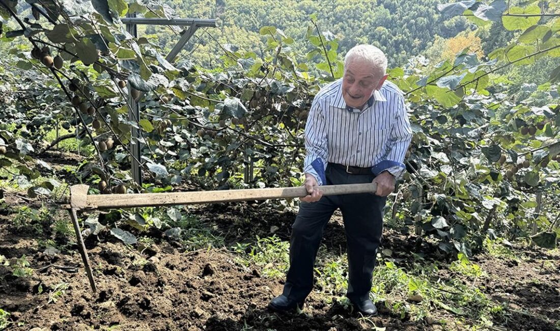Zorlu doğa koşulları ve fiziksel yorgunluklarına rağmen yaz-kış bağ bahçede
