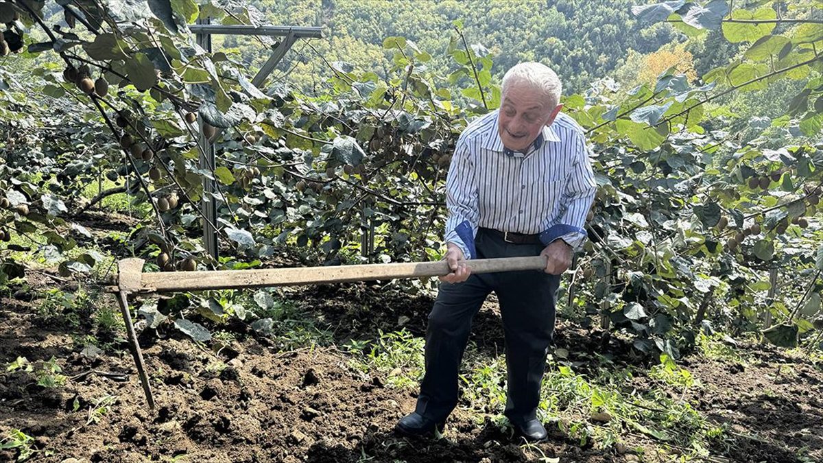 Zorlu doğa koşulları ve fiziksel yorgunluklarına rağmen yaz-kış bağ bahçede