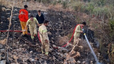 ANTALYA (AA) – Kumluca ilçesinde sabaha karşı makilik alanda çıkan