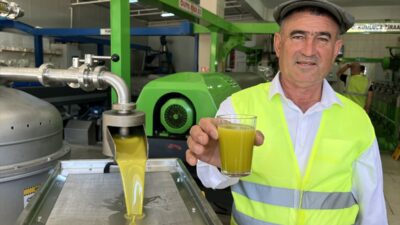 ANTALYA (AA) – Antalya'nın Kumluca ilçesinde üreticiler, hasadını yaptıkları zeytini