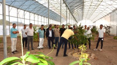 ANTALYA (AA) – KUTSO yönetimi, tropik meyve üretim merkezini ziyaret