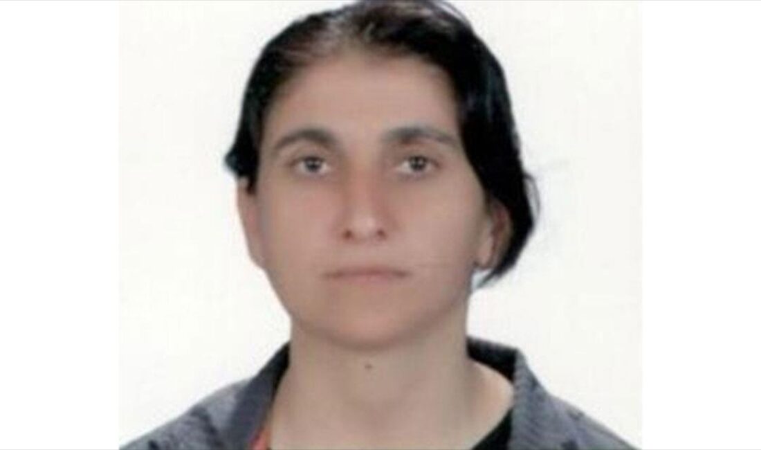 Milli İstihbarat Teşkilatı (MİT) Başkanlığı, terör örgütü PKK/YPG'nin sözde İran