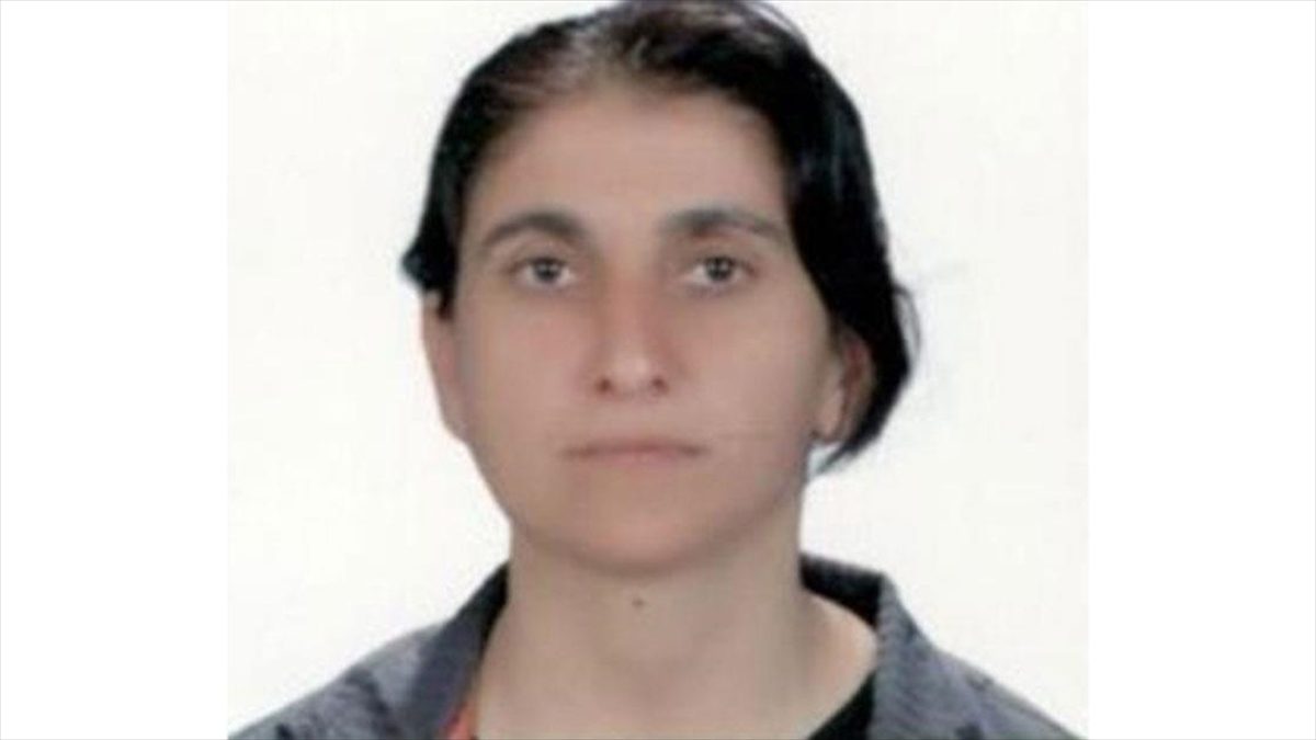 Milli İstihbarat Teşkilatı (MİT) Başkanlığı, terör örgütü PKK/YPG'nin sözde İran