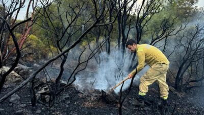 MUĞLA (AA) – Orman B&ouml;lge M&uuml;d&uuml;rl&uuml;ğ&uuml;nden yapılan a&ccedil;ıklamaya g&ouml;re, 1-5