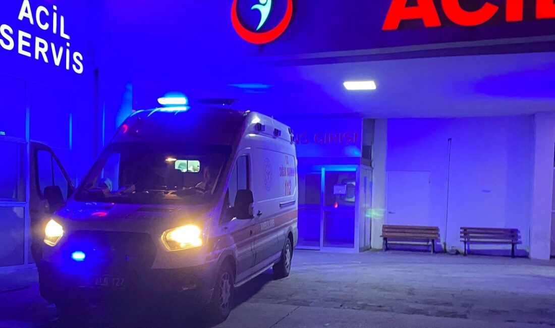 NIĞDE (AA) – Bor ilçesi Bahçeli beldesi Saray Mahallesi’nde bahçede