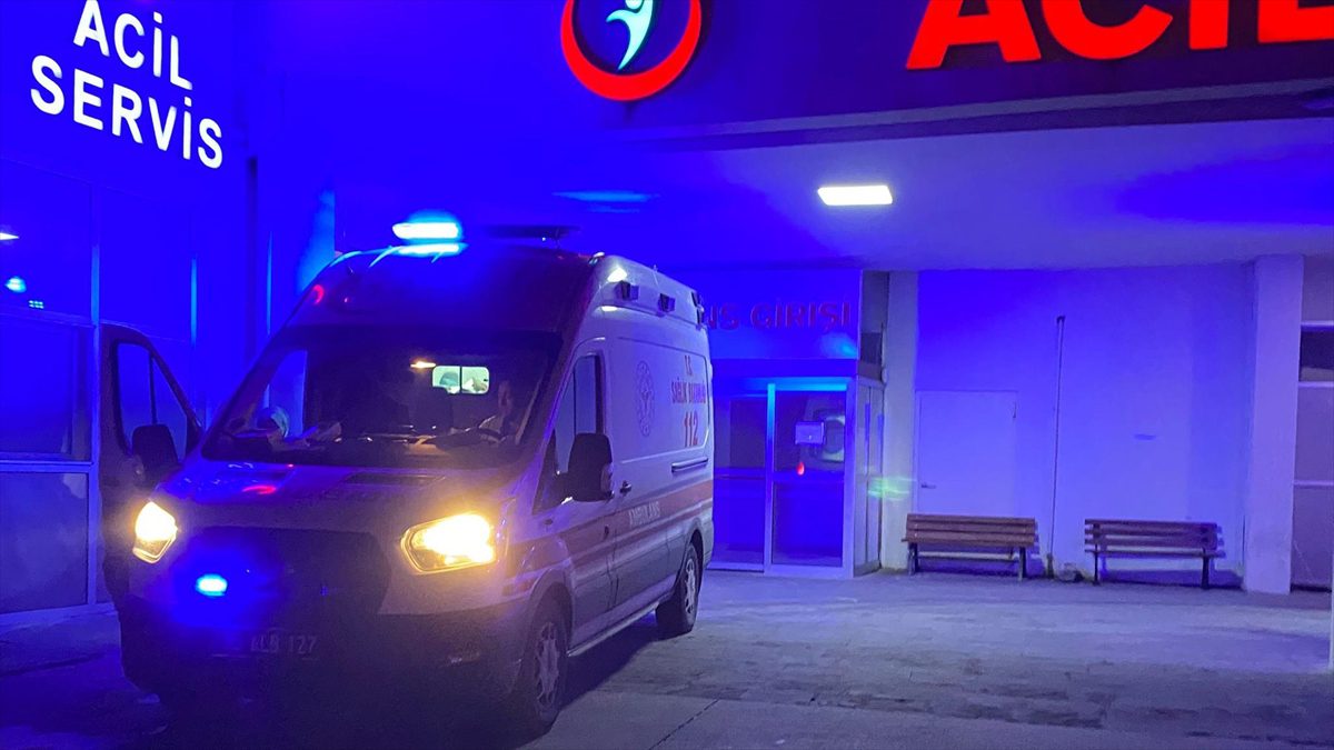NIĞDE (AA) – Bor ilçesi Bahçeli beldesi Saray Mahallesi’nde bahçede
