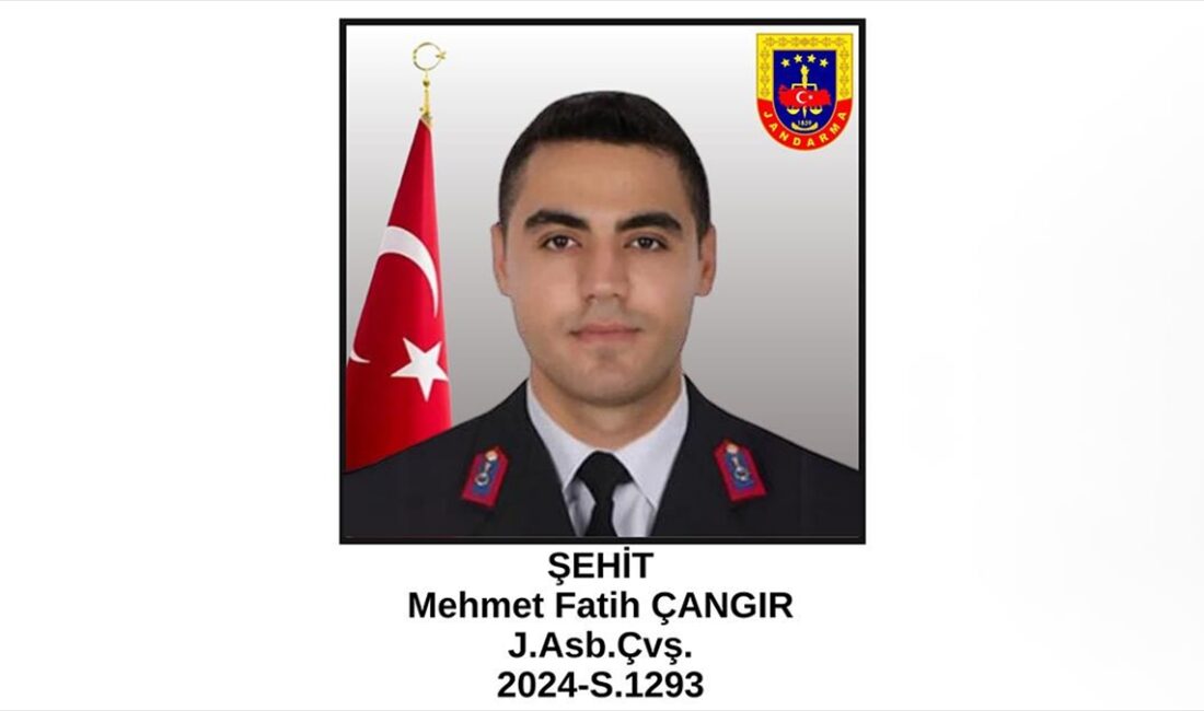 Ordu'nun Gülyalı ilçesindeki kontrol noktasında motosikletin çarptığı Jandarma Astsubay Çavuş