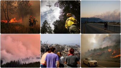 UNDRR Avrupa Bilim ve Teknoloji Danışma Grubu Üyesi ve orman