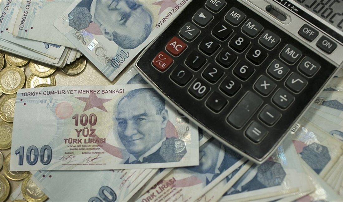 Orta Vadeli Program (OVP) döneminde enflasyon istenilen patikada gerileyene kadar